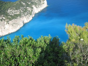 IMG_4314
