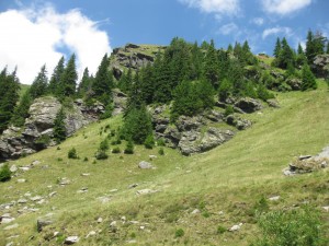 Transfagarasan 093
