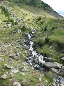 Transfagarasan 098