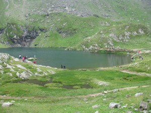 Transfagarasan 176